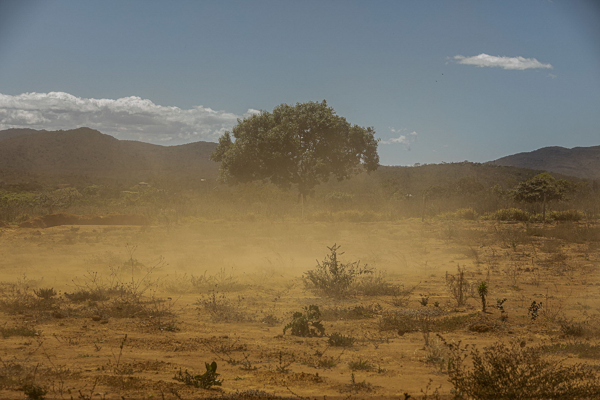 Imagem Restauração Ecológica PA4--36 da expedição de expedicoes/restauracao_25